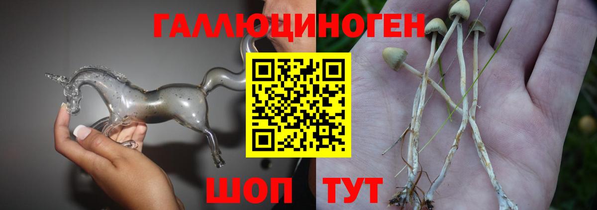 Псилоцибиновые грибы ЛСД  Вход с VPN  Анжеро-Судженск 